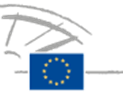 Programa anual de Subvencions del Parlament Europeu 2013-2014. Termini 30 de septiembre de 2013